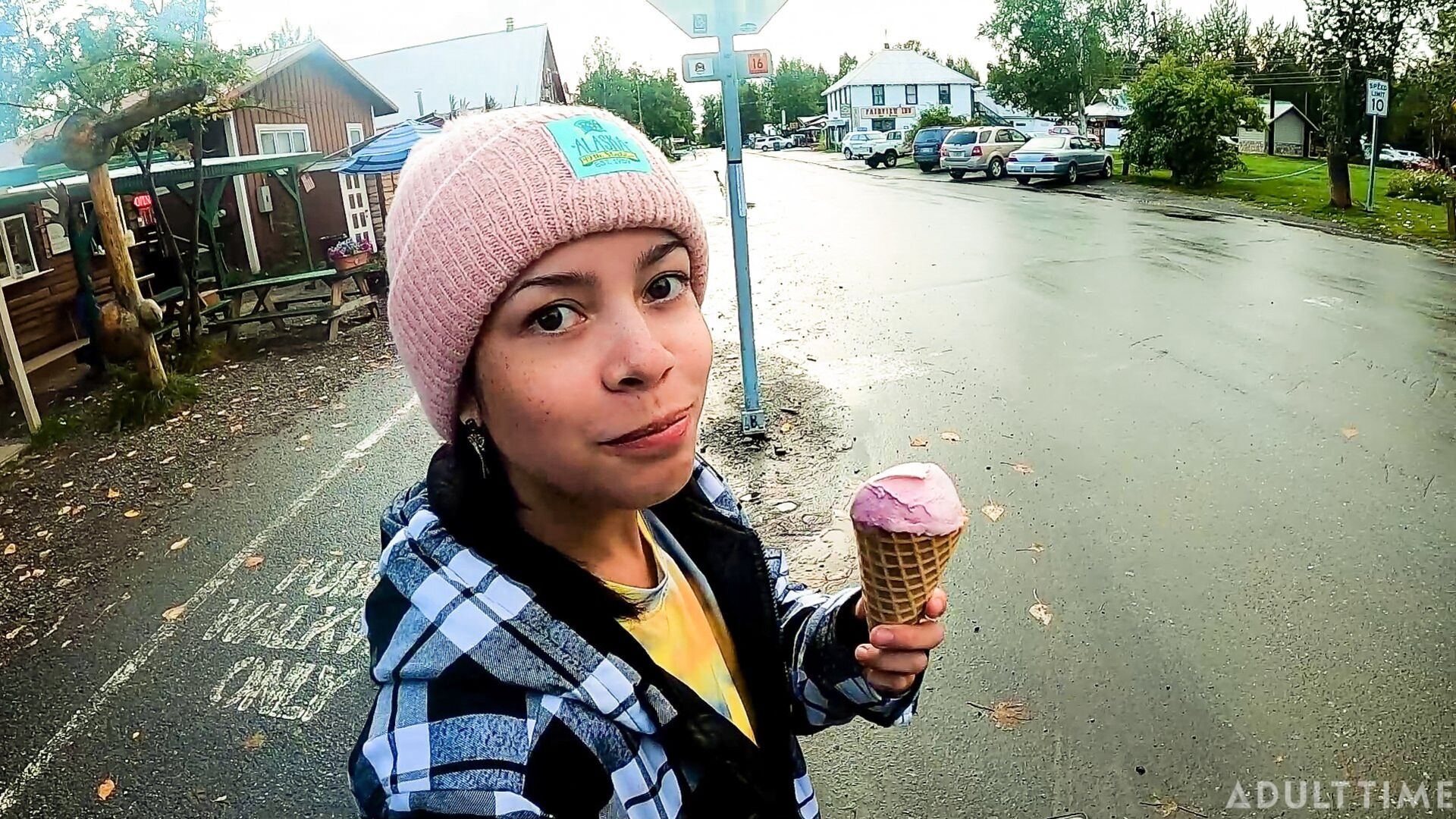 Poly Family Life: Alaska Road Trip - Episode 2