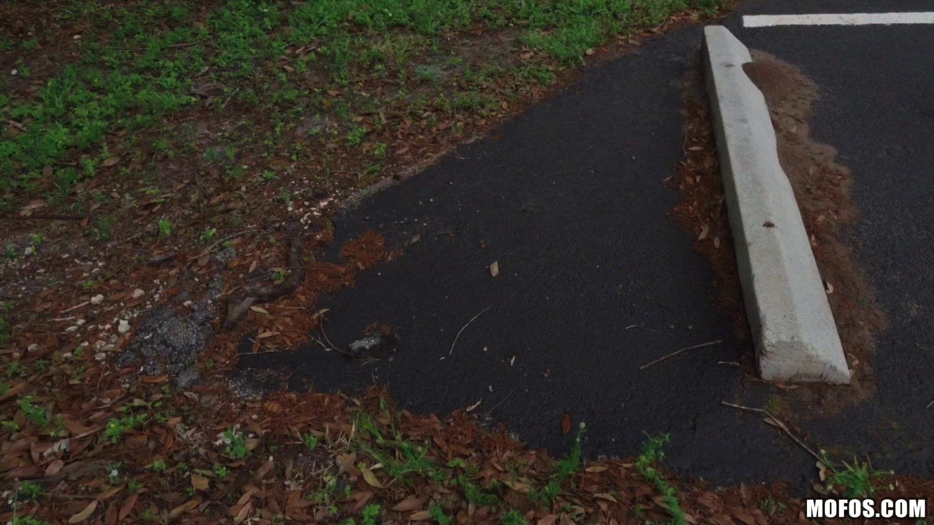 Public Park Pickup