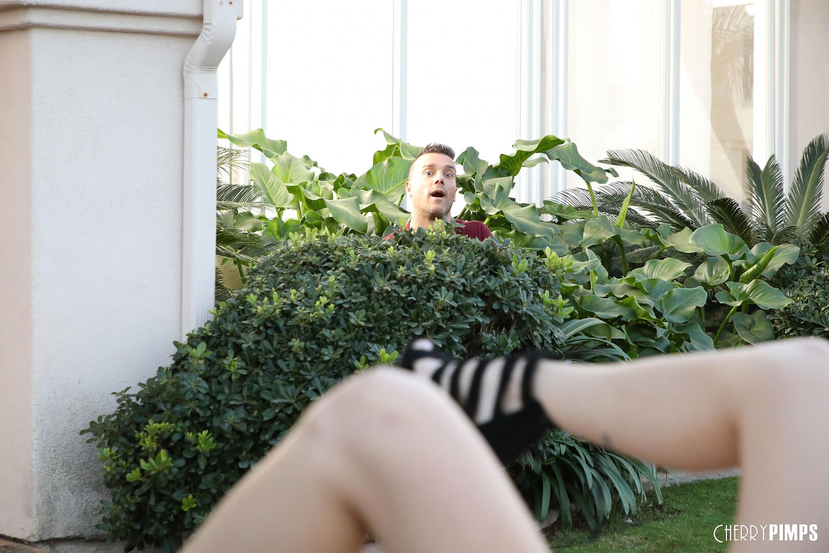 Teasing The Neighbor Is Such A Huge Turn On