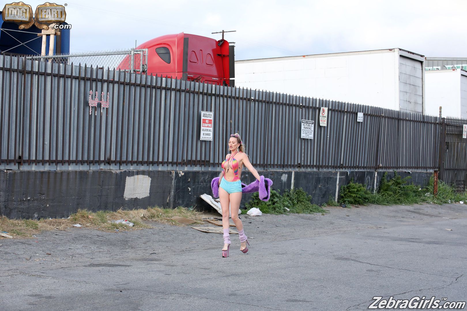 Adira Allure,Anne Amari,Mini Stallion-ZebraGirls