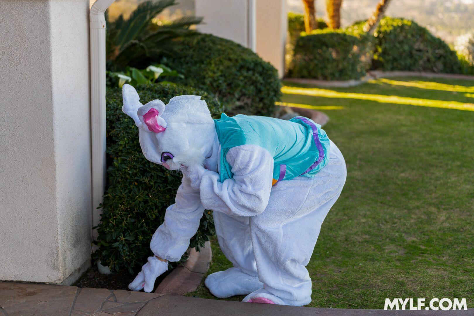 Easter Humping