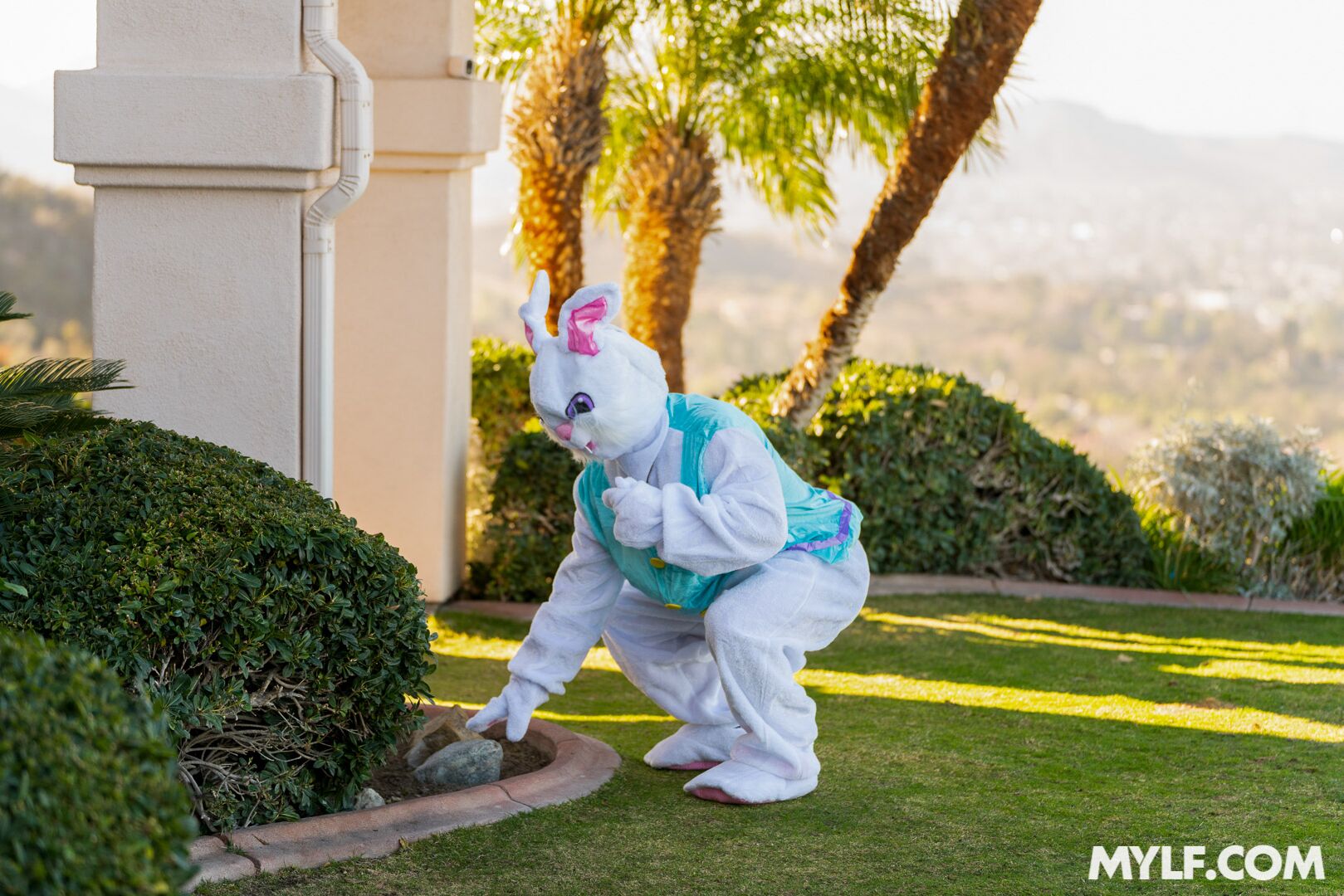 Easter Humping