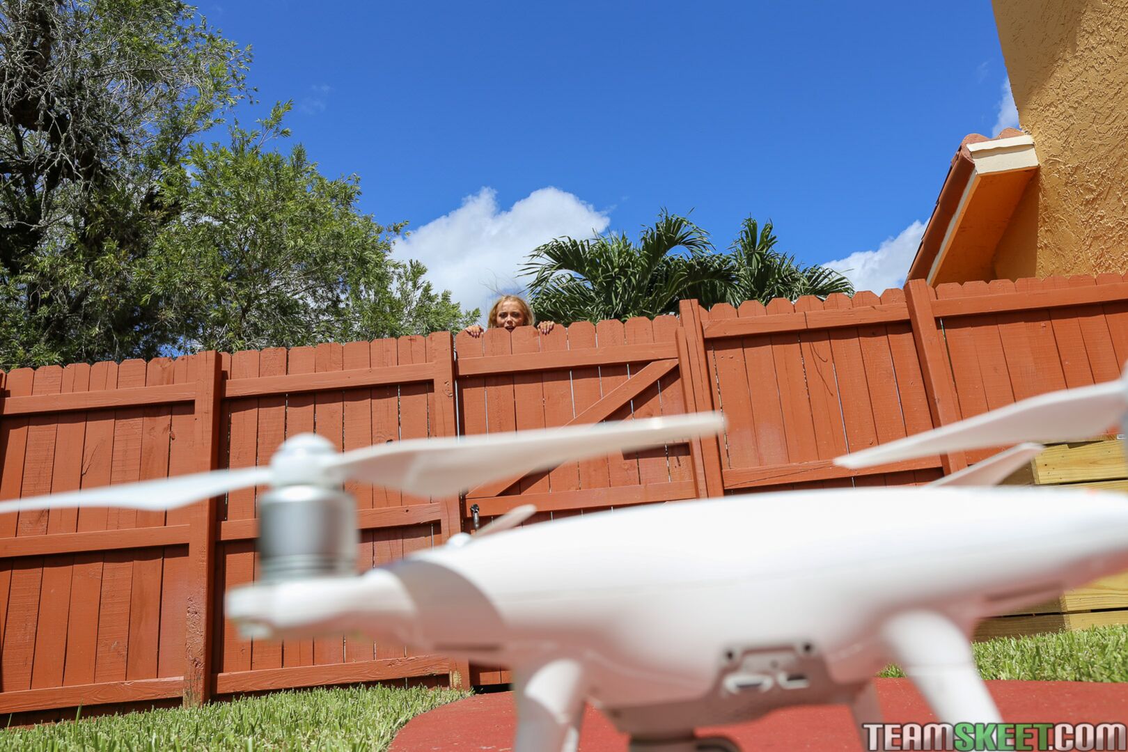 Alone With A Drone
