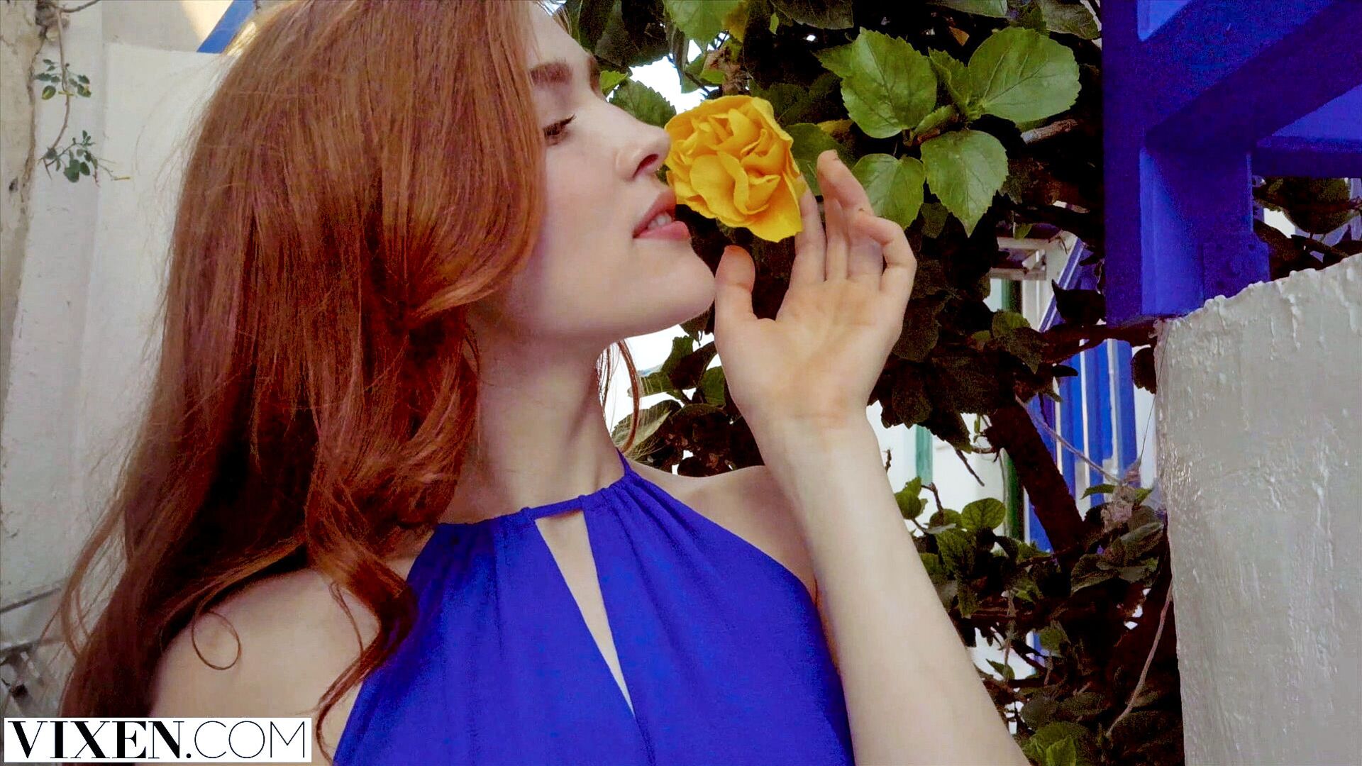 The Most Beautiful Red Head You Have Ever Seen
