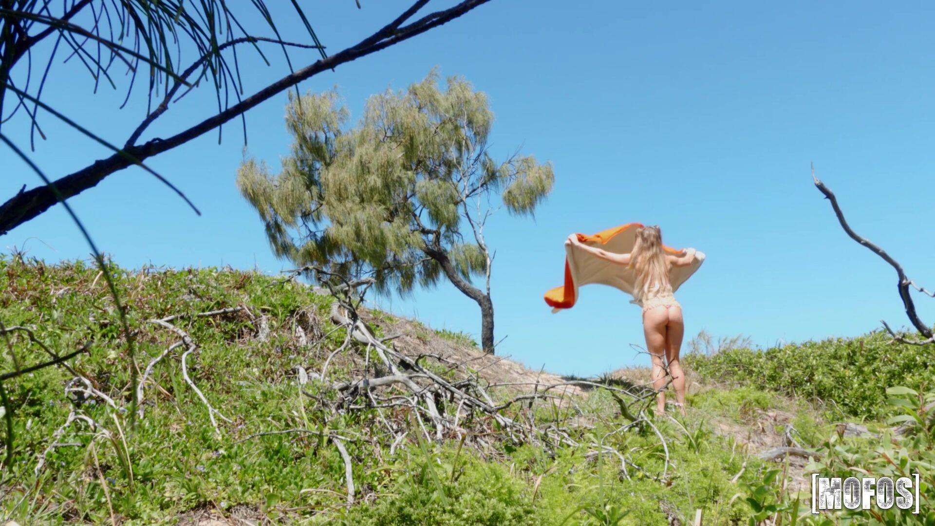 Chasing Scarlet's Beach Bum