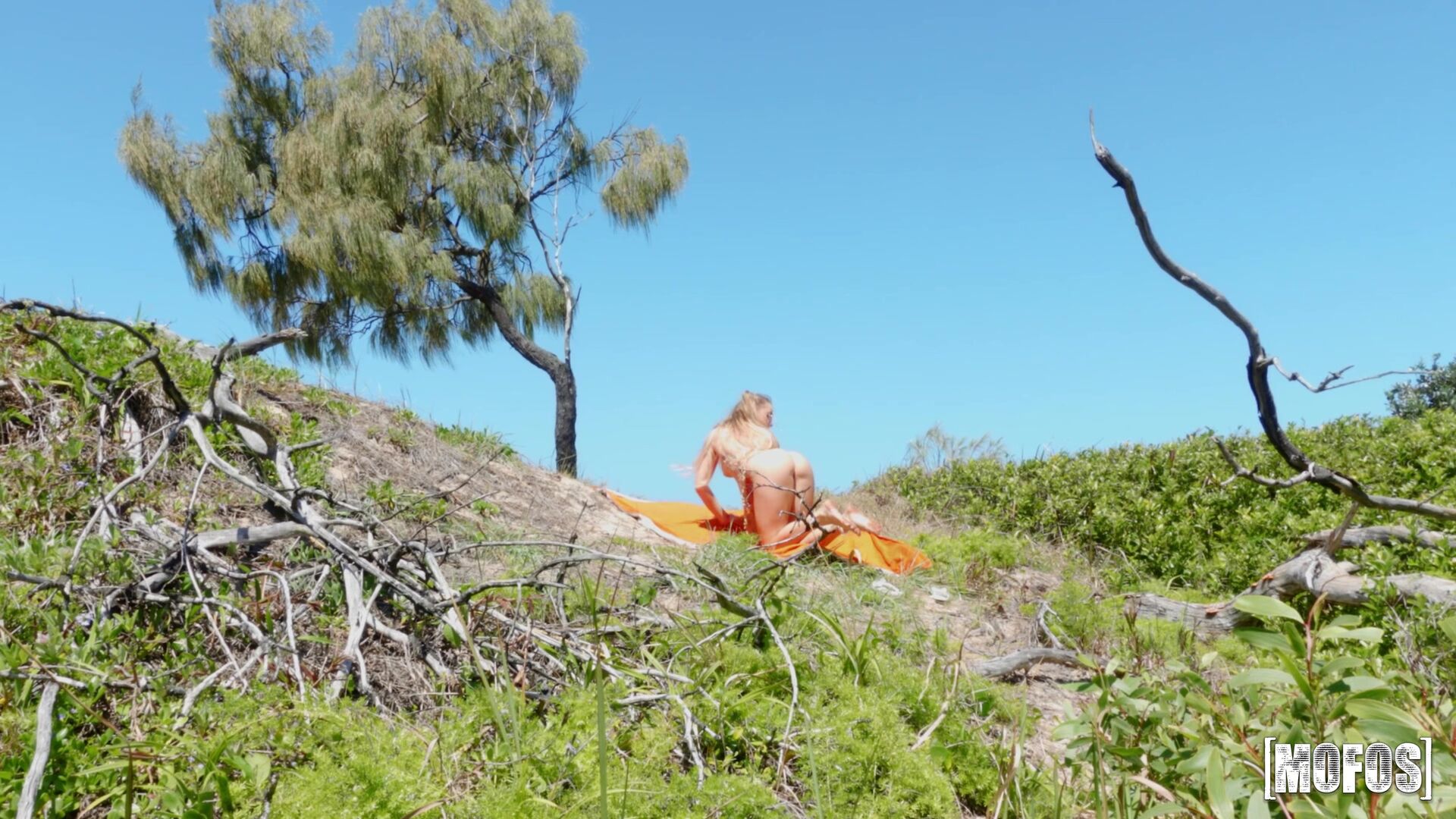 Chasing Scarlet's Beach Bum