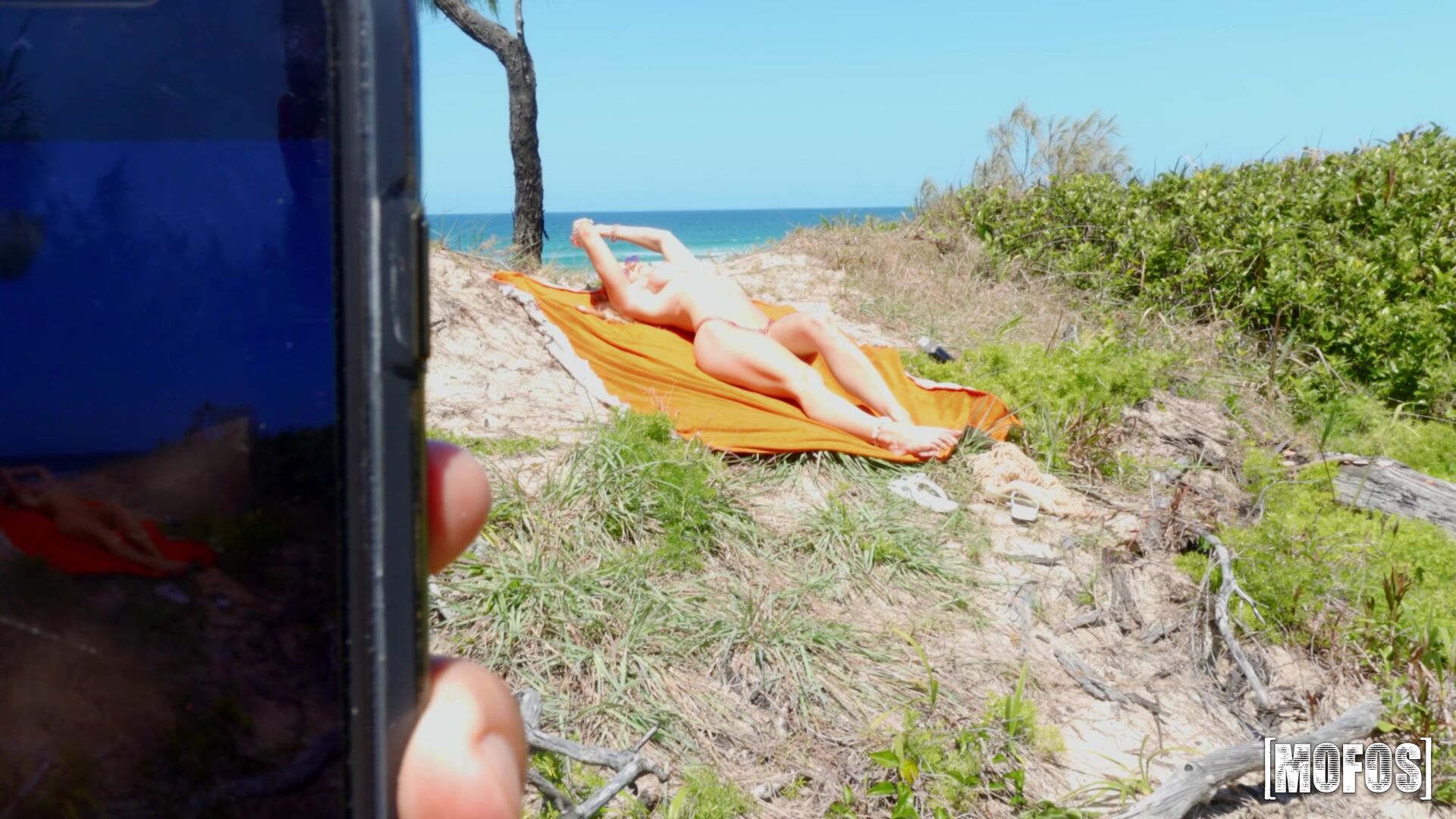 Chasing Scarlet's Beach Bum