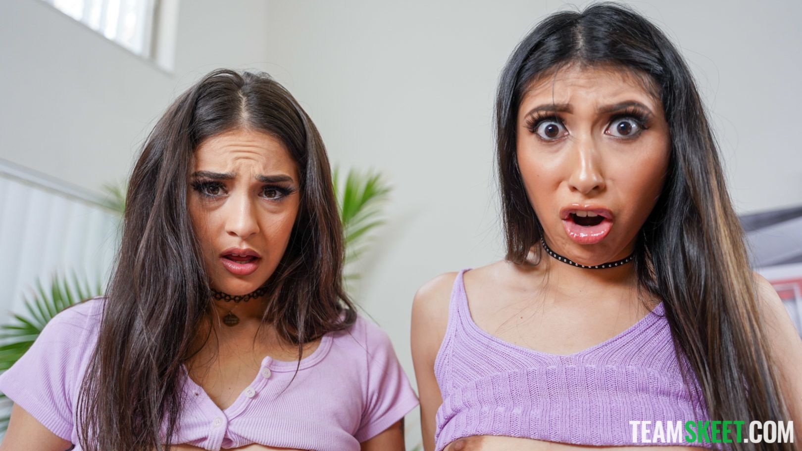 Step Sibling Rivalry