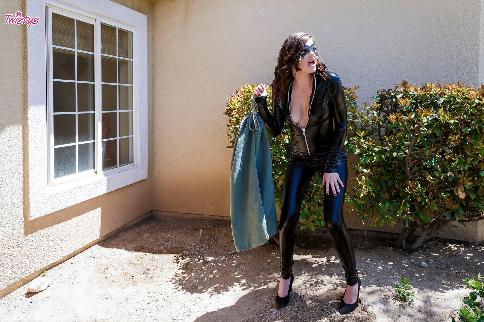 Ass & Battery