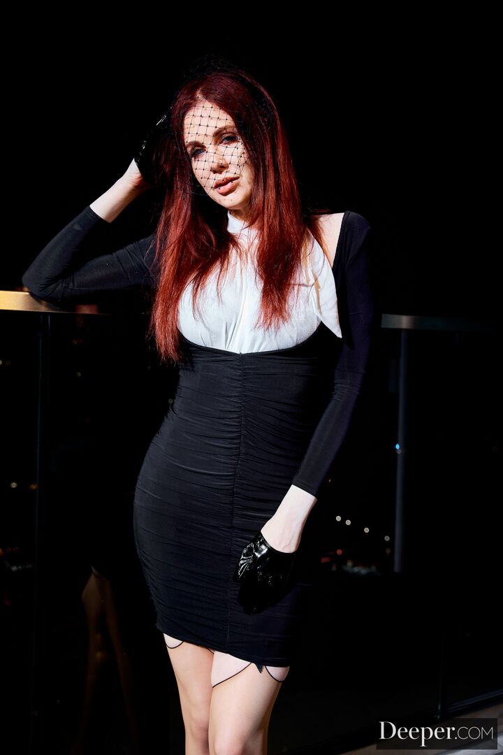 Mistress Maitland 2: Delegate