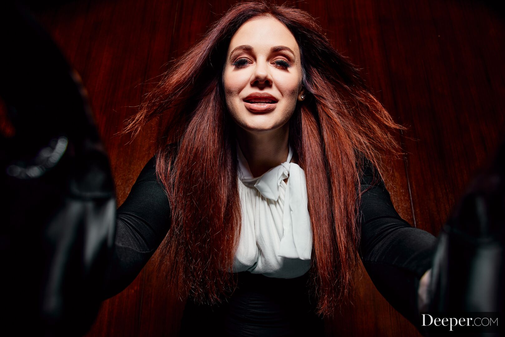 Mistress Maitland 2: Delegate