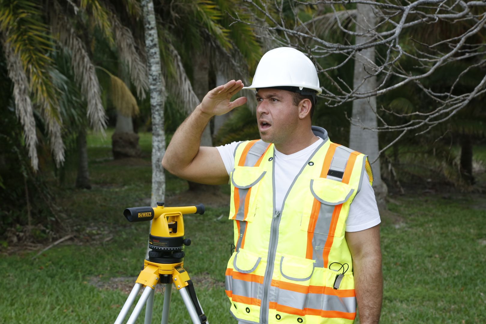 Surveying The Milf