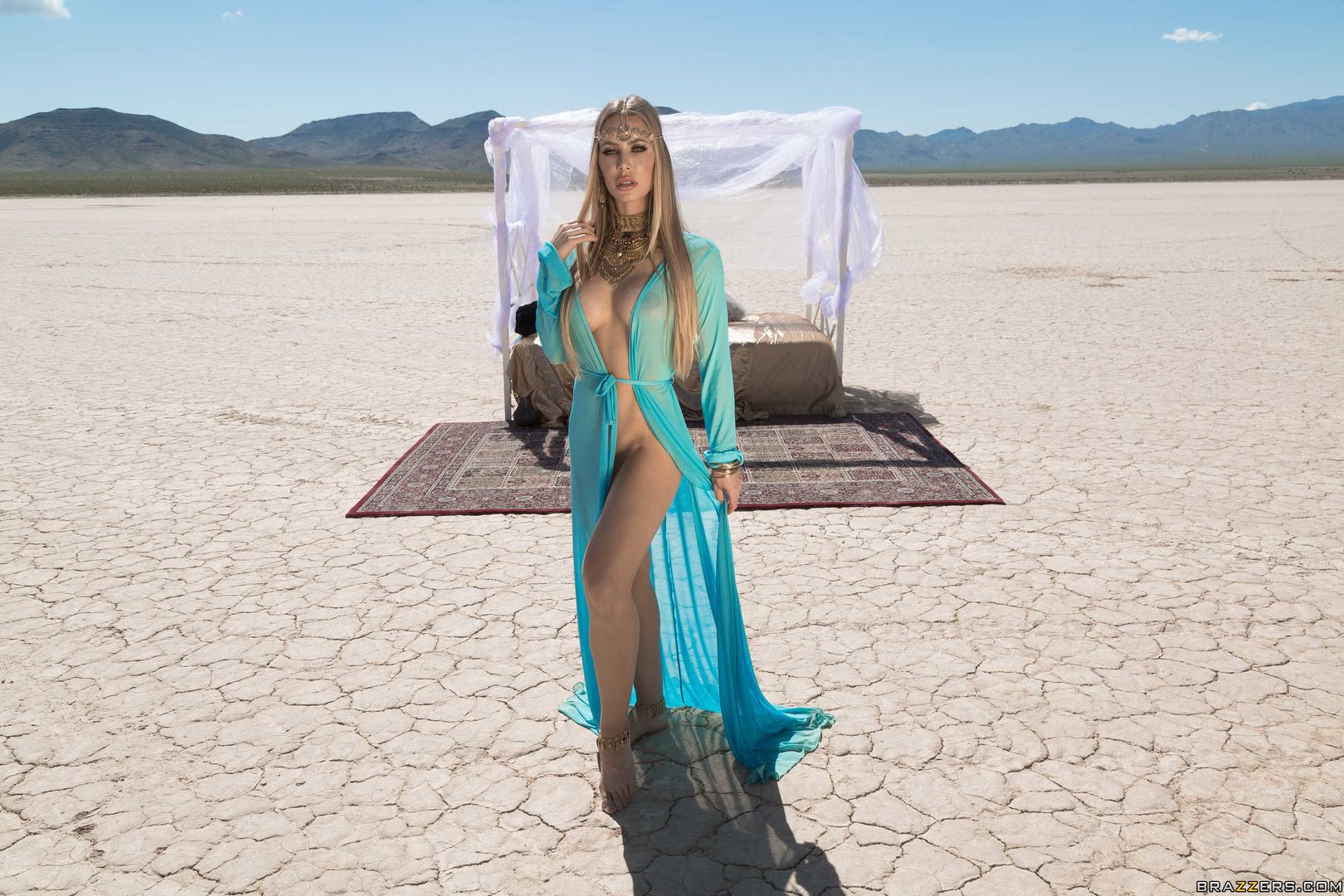 Nicole's Oasis