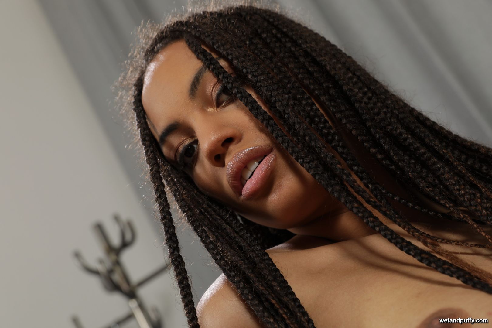 DHALIA JANEIRO — TEEN TACO