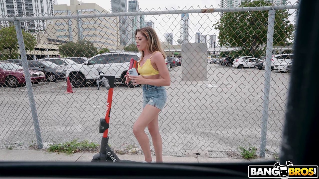 Anal Transportation