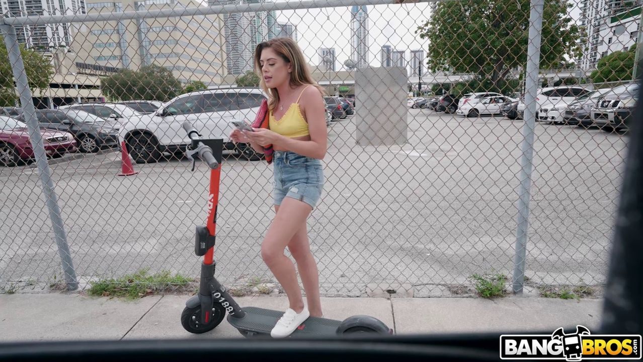 Anal Transportation