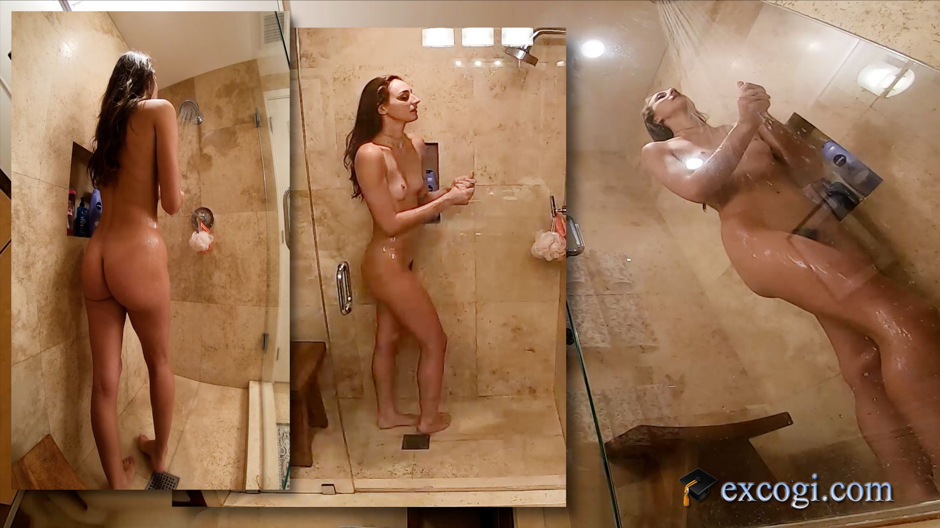 ANDI ROSE DP