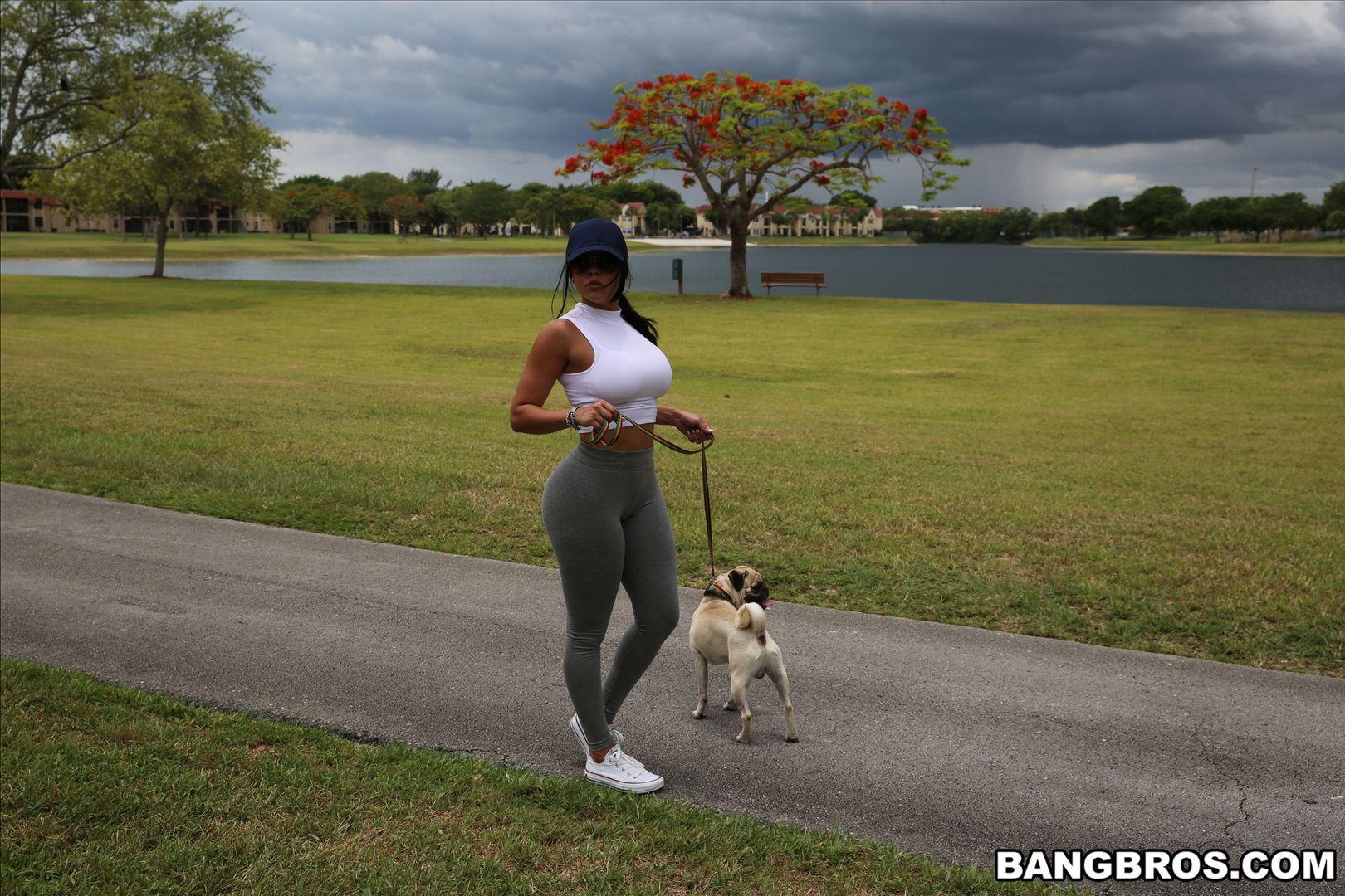 Diamond Kitty Arrives at Anal City