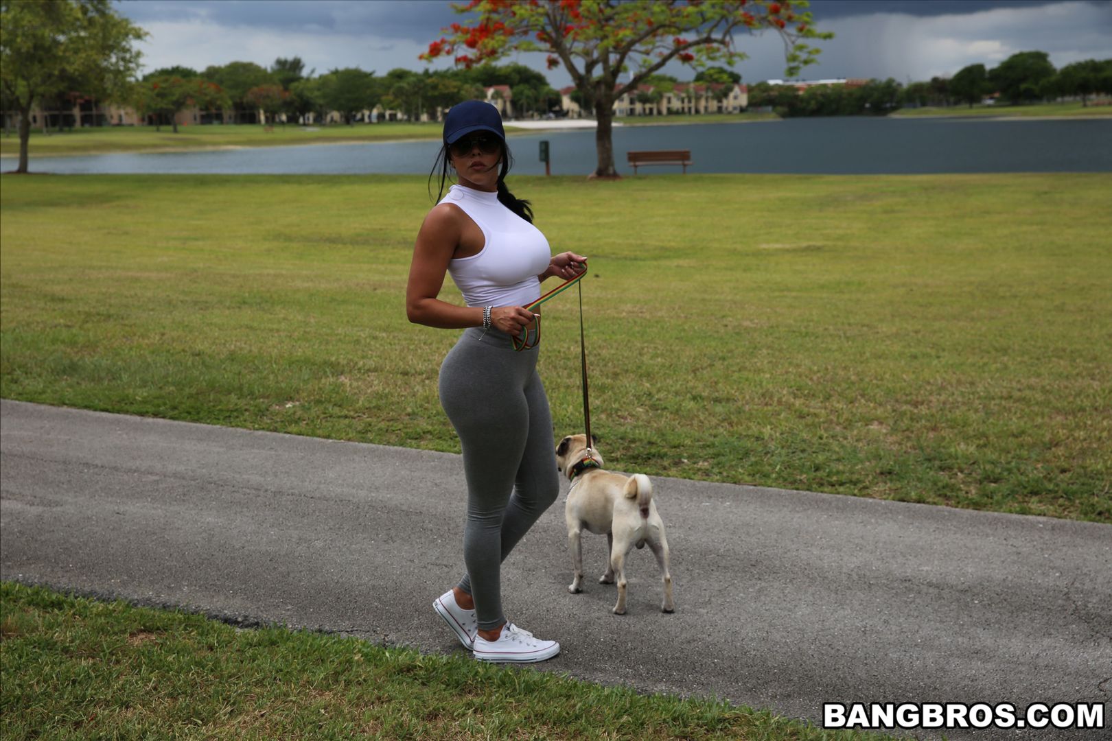 Diamond Kitty Arrives at Anal City