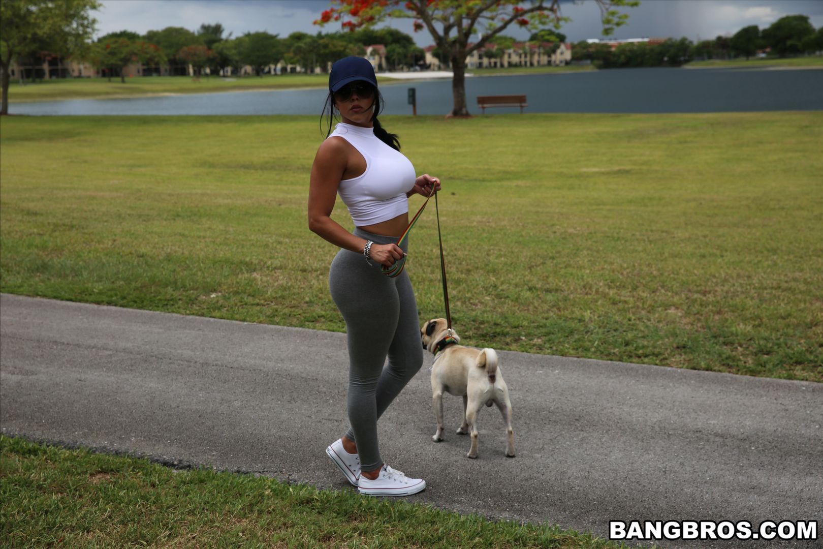 Diamond Kitty Arrives at Anal City