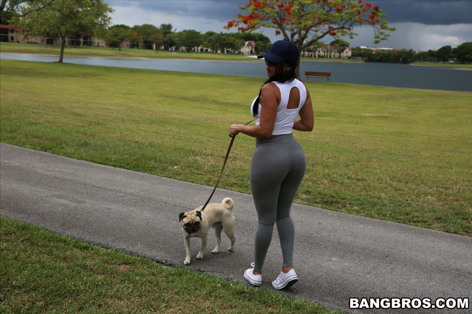 Diamond Kitty Arrives at Anal City