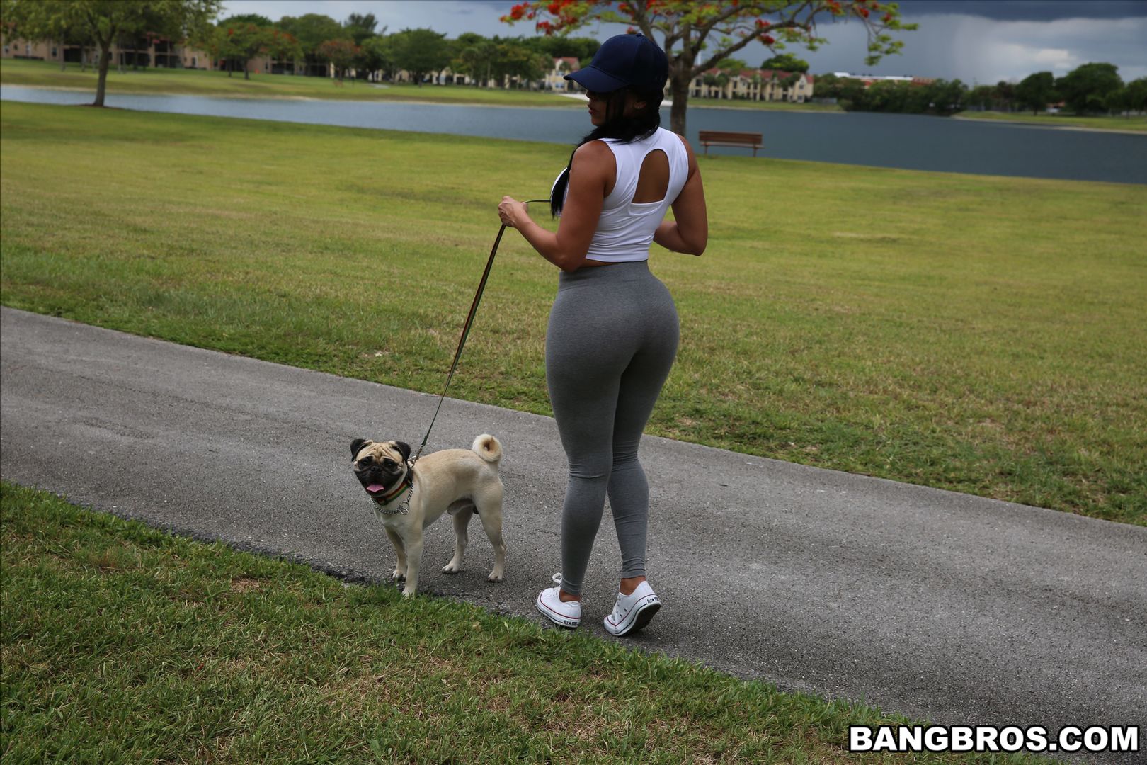 Diamond Kitty Arrives at Anal City