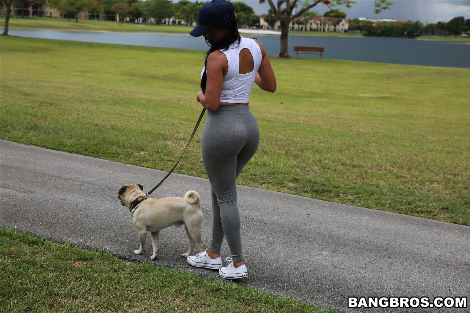 Diamond Kitty Arrives at Anal City