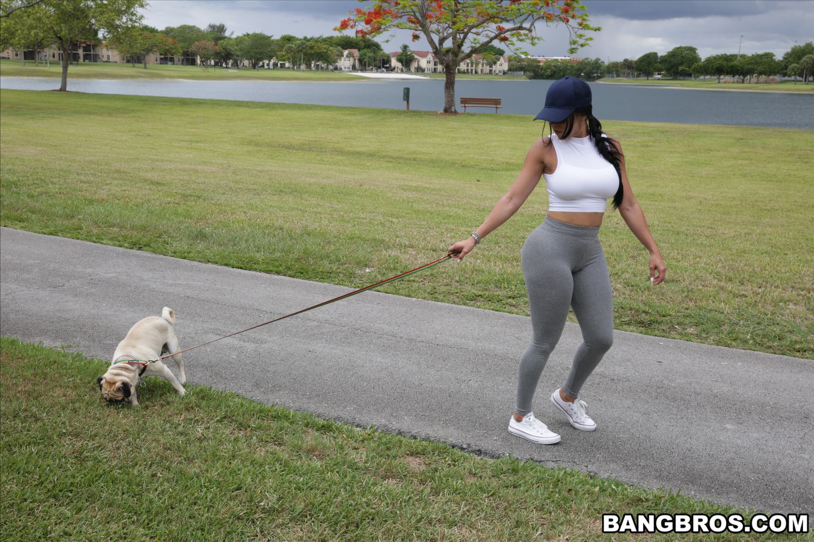 Diamond Kitty Arrives at Anal City
