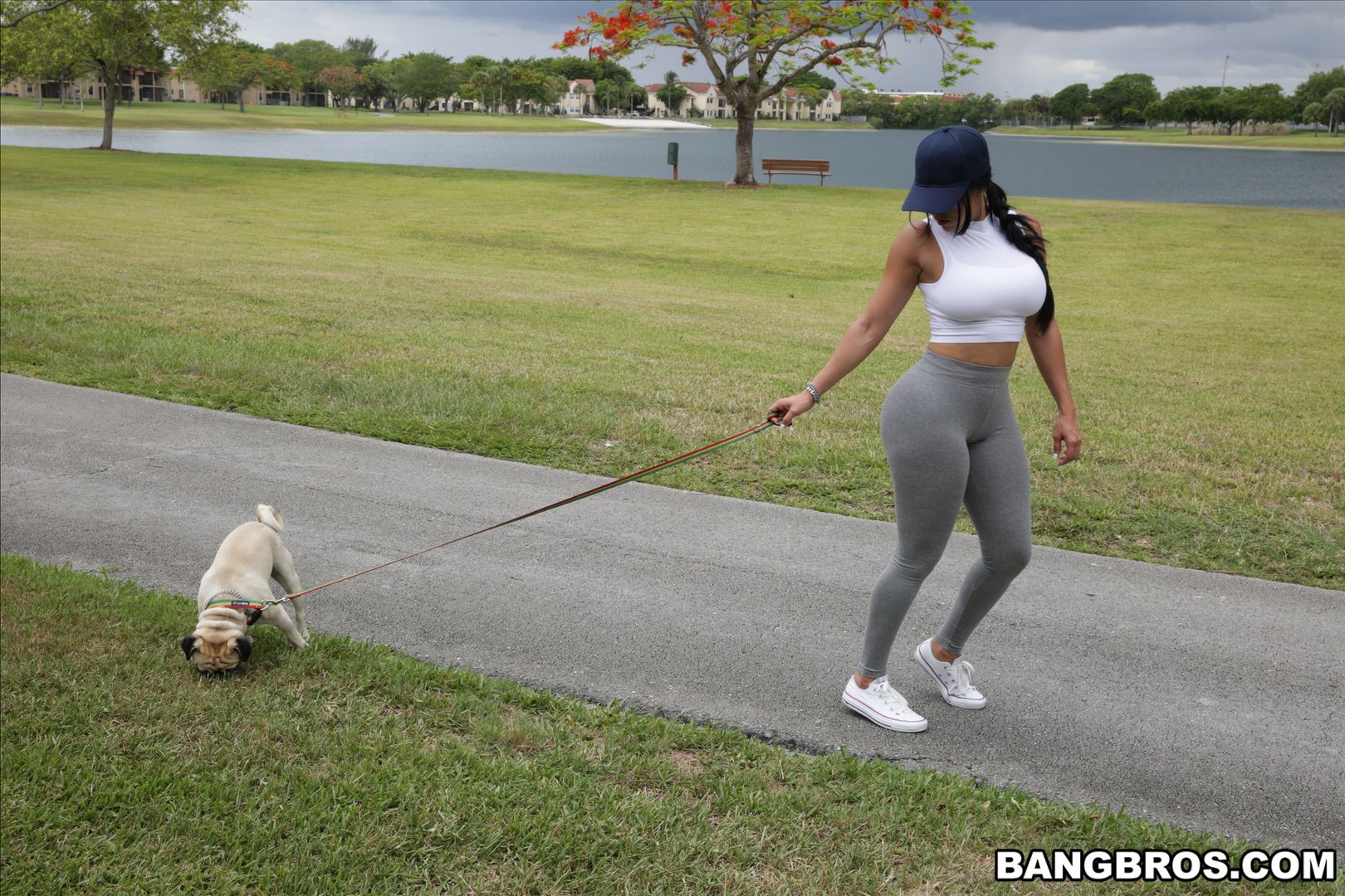 Diamond Kitty Arrives at Anal City