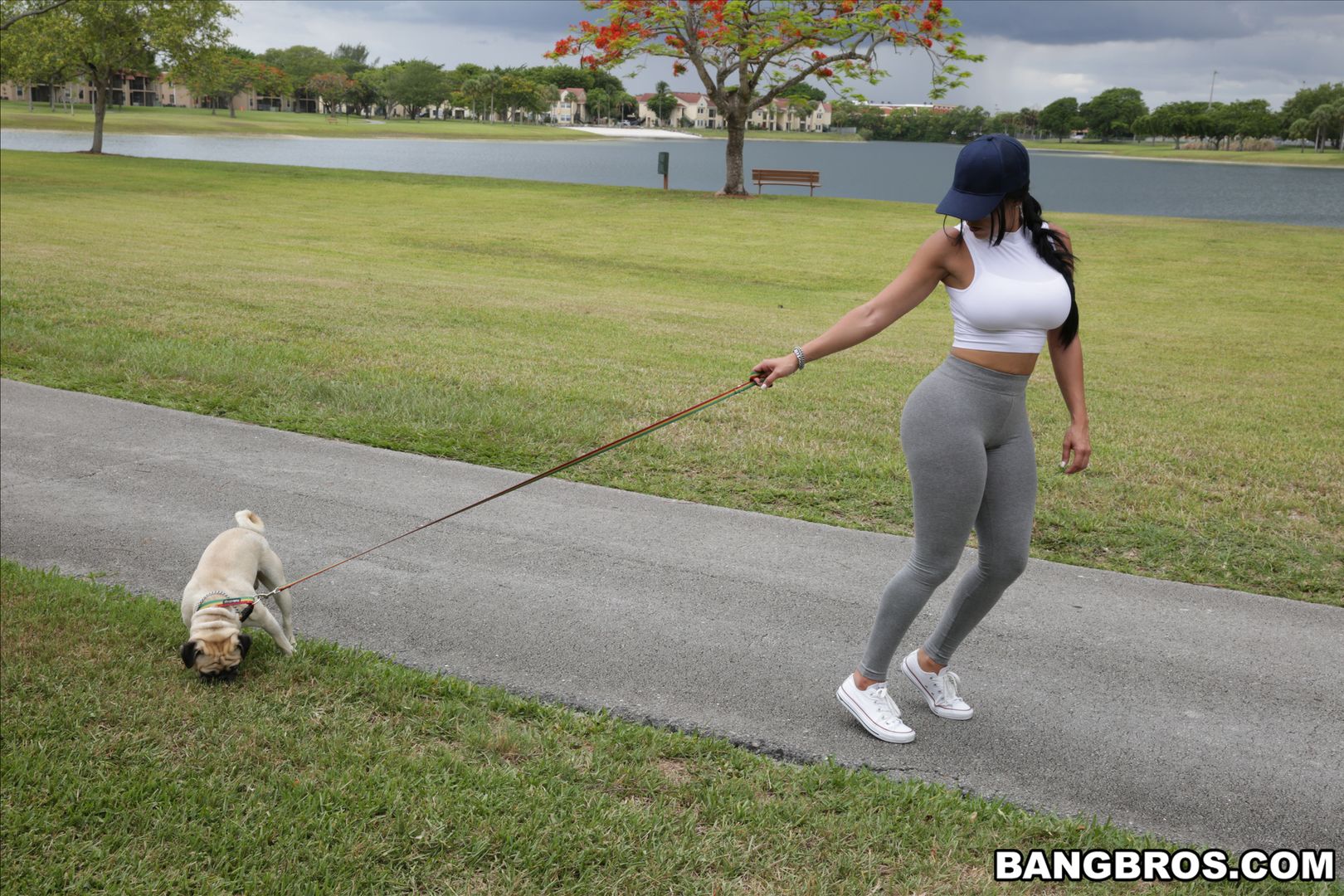 Diamond Kitty Arrives at Anal City