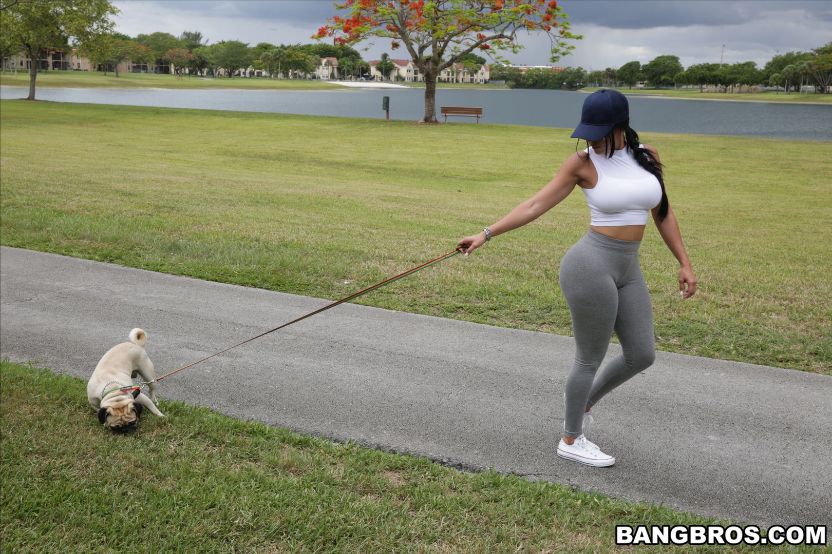 Diamond Kitty Arrives at Anal City