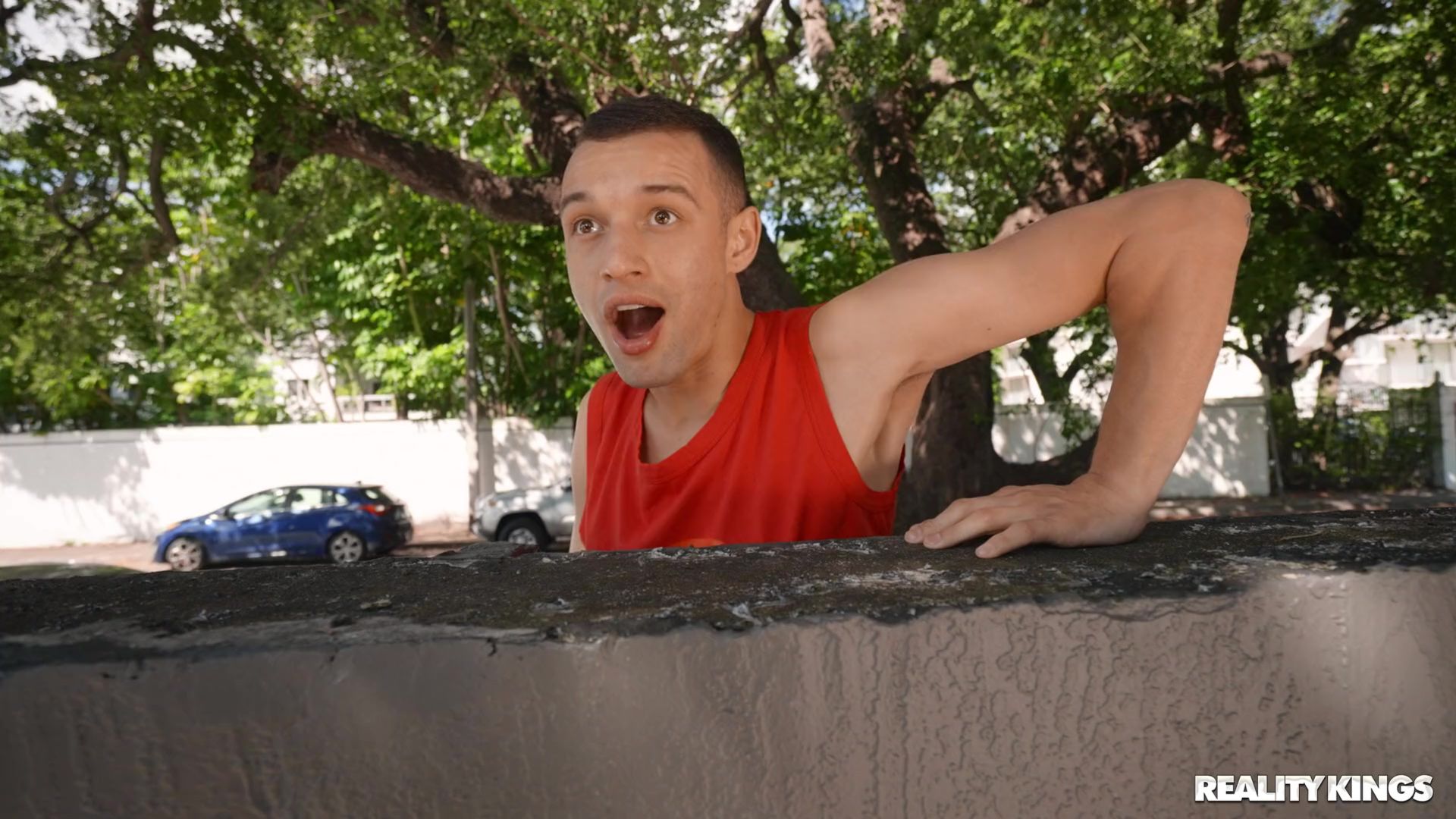 Nosy Neighbor, Hammock Shaker Part 1