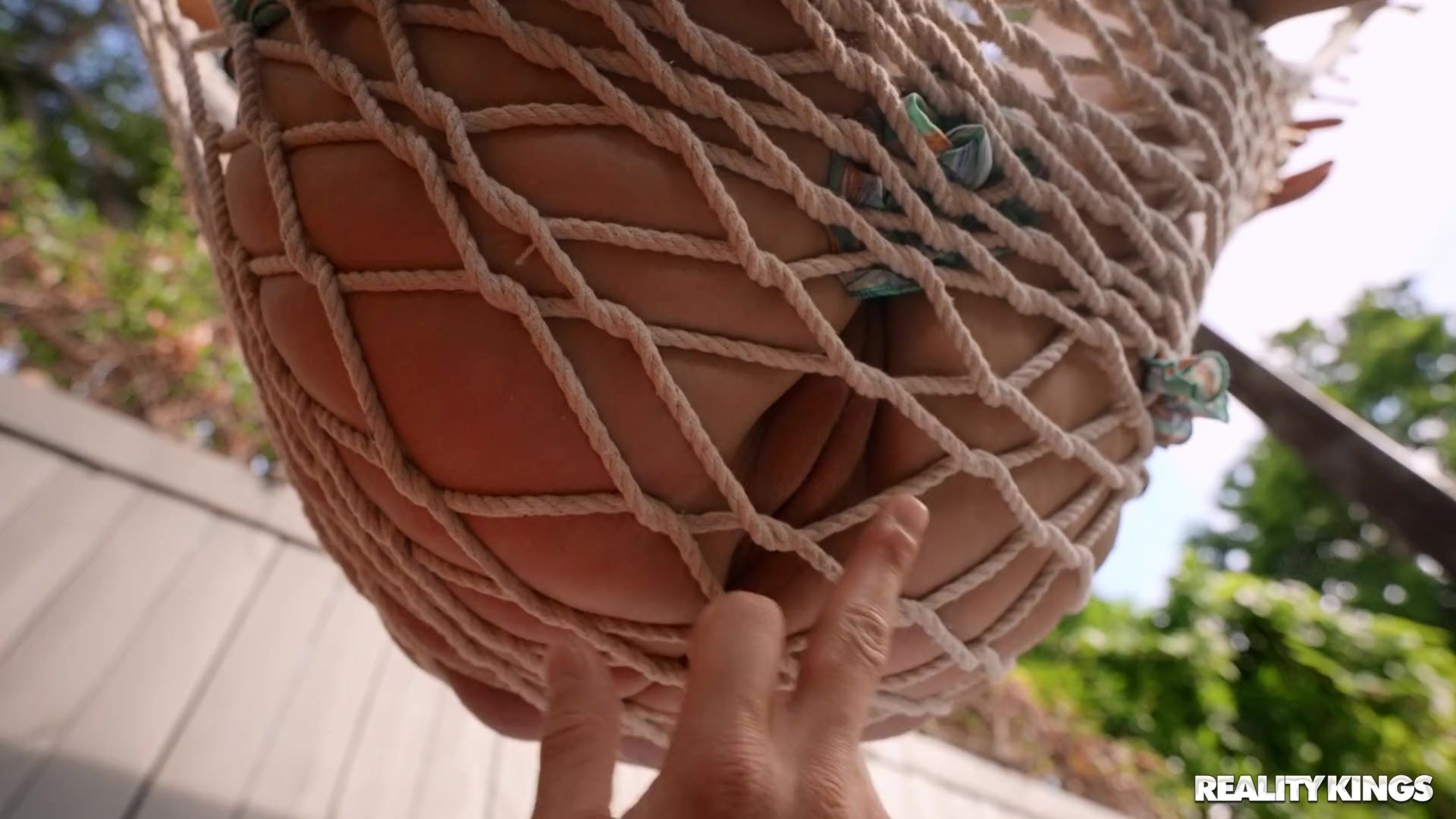 Nosy Neighbor, Hammock Shaker Part 1