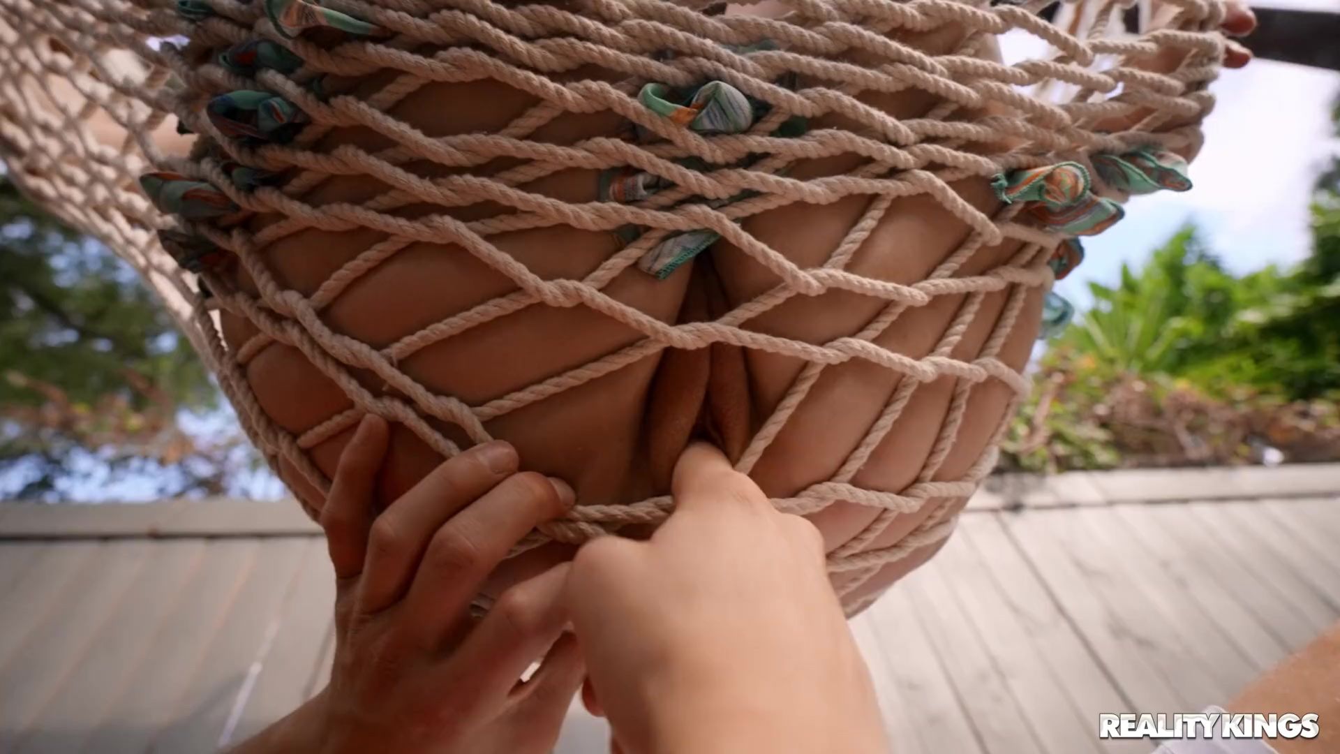 Nosy Neighbor, Hammock Shaker Part 1
