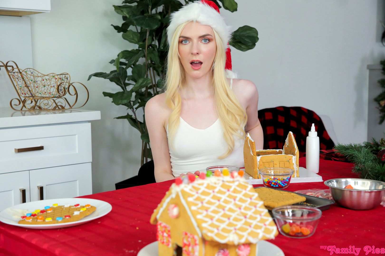My Stepbrother Put His Penis In A Gingerbread House - S22:E6