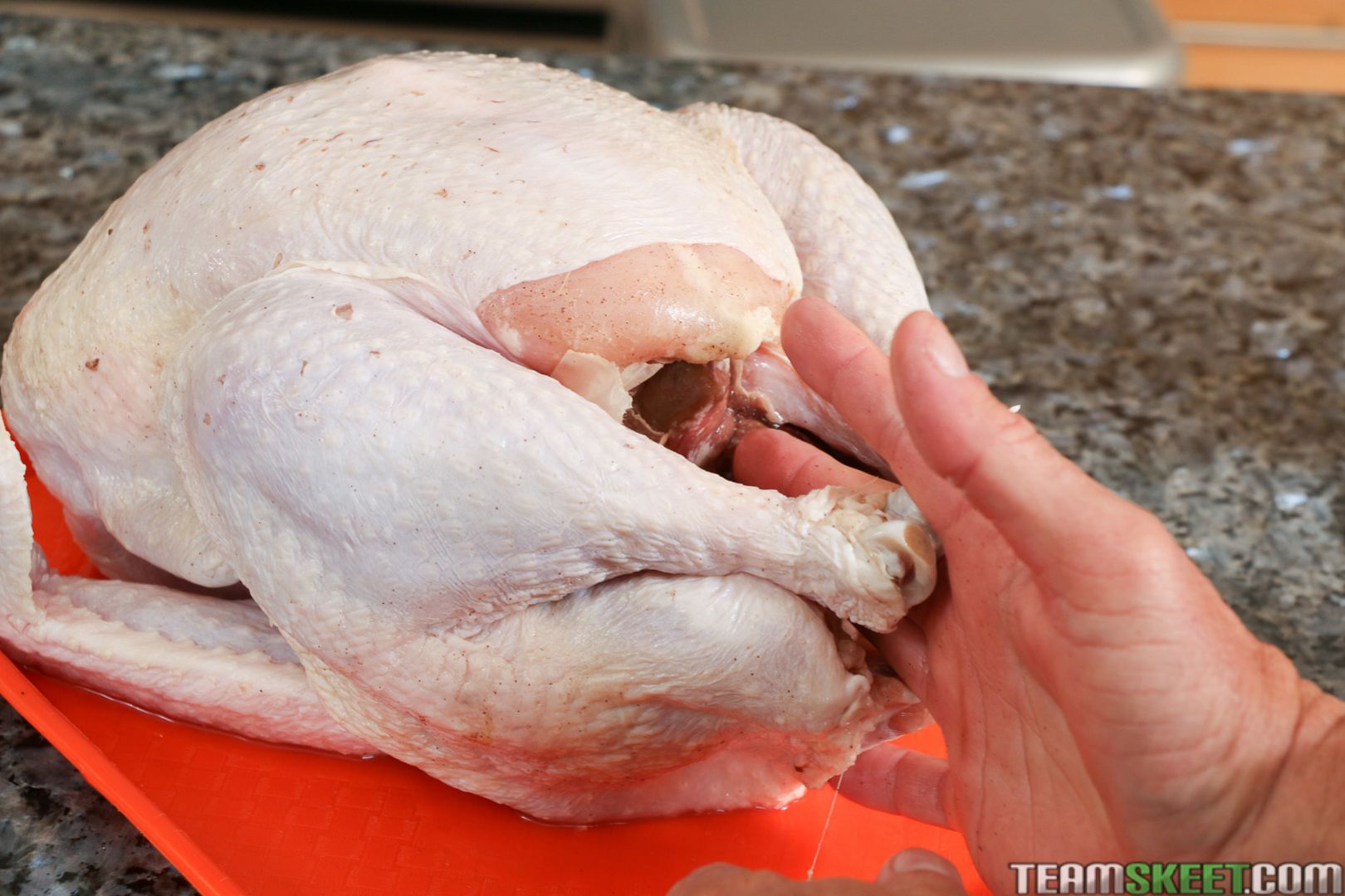 Stuffed With Cum