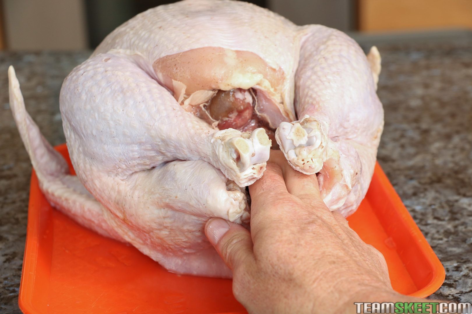 Stuffed With Cum