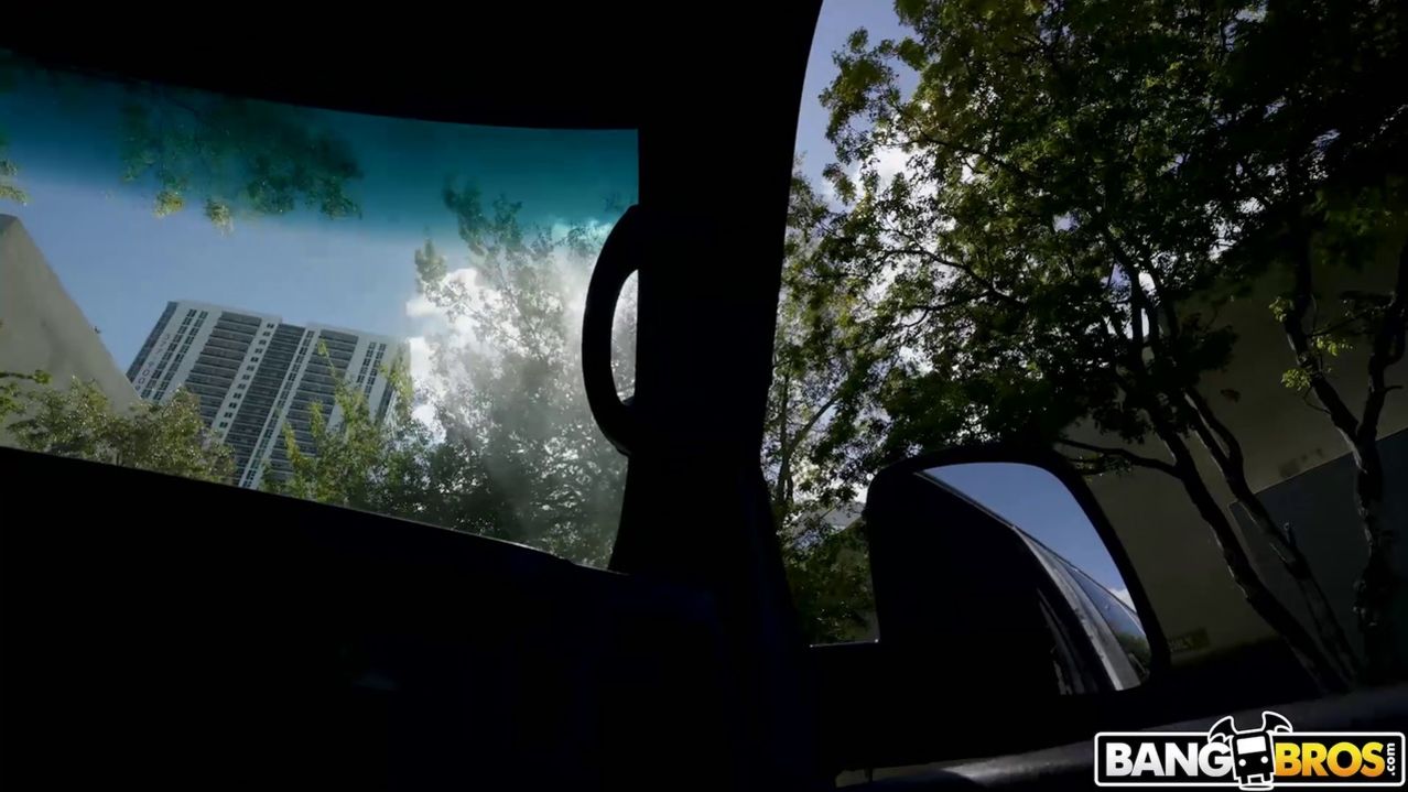 Surprise Anal on The Bus