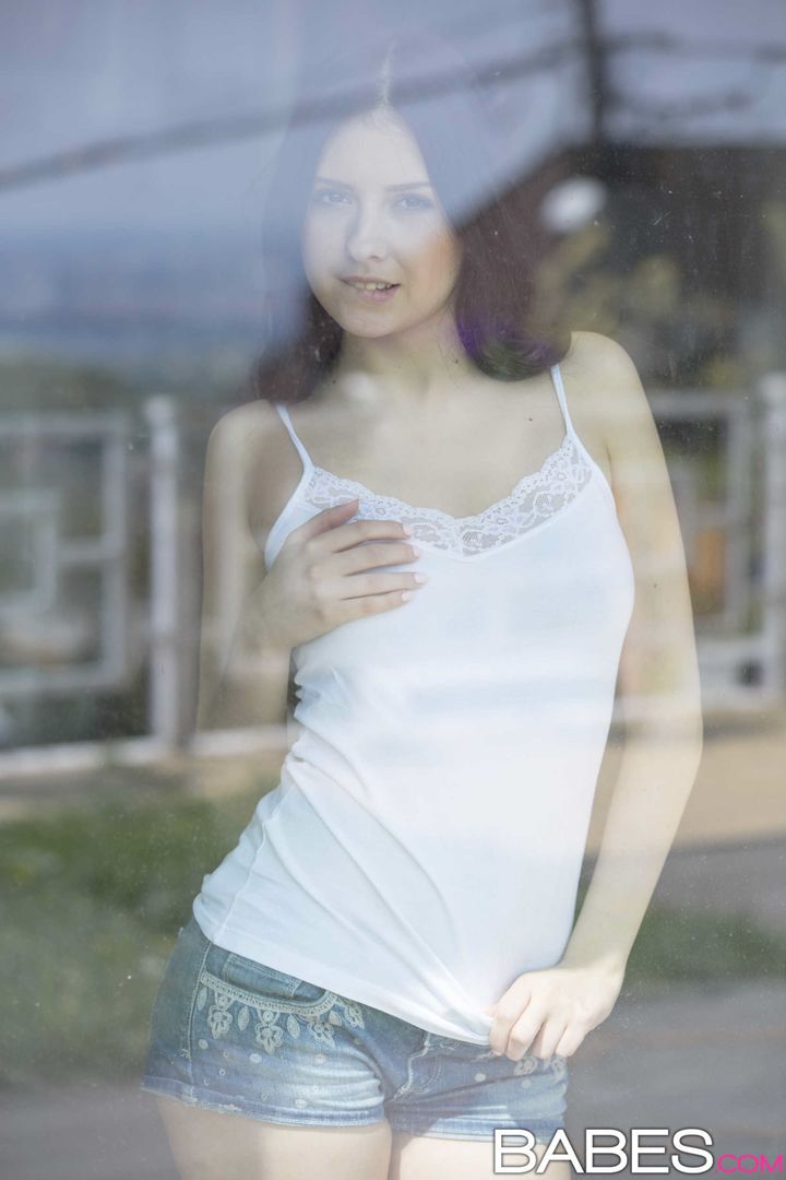 Window Watching