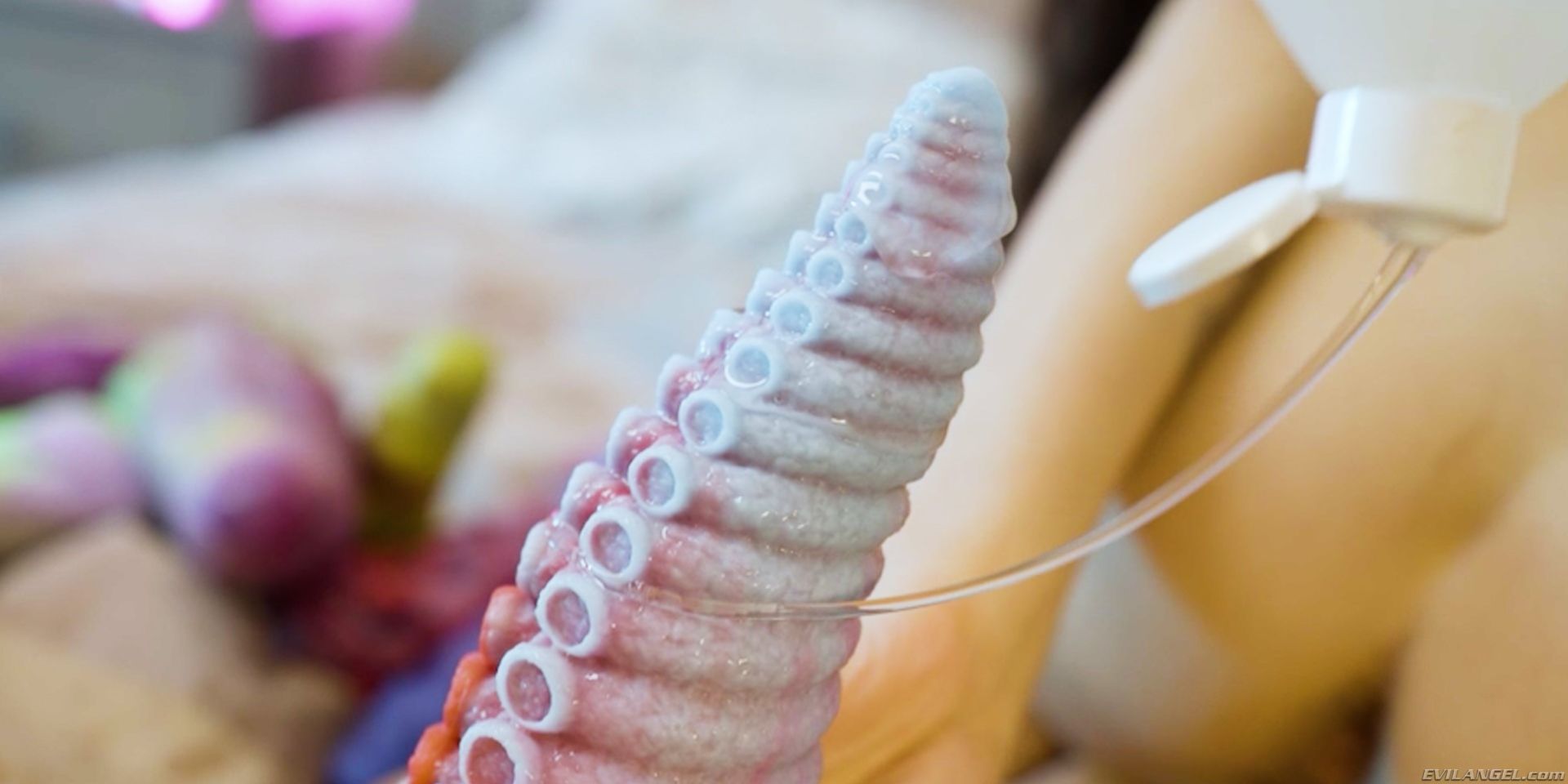 Anuskatzz + Stacy Bloom: Anal Toys