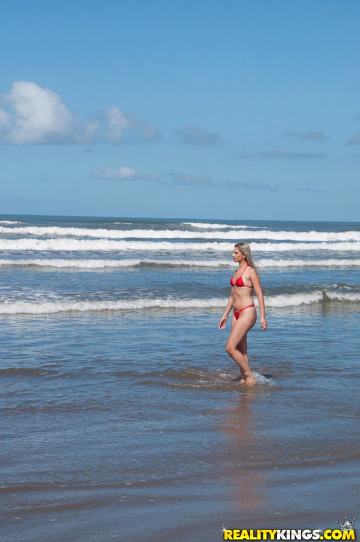 Beach Wonder