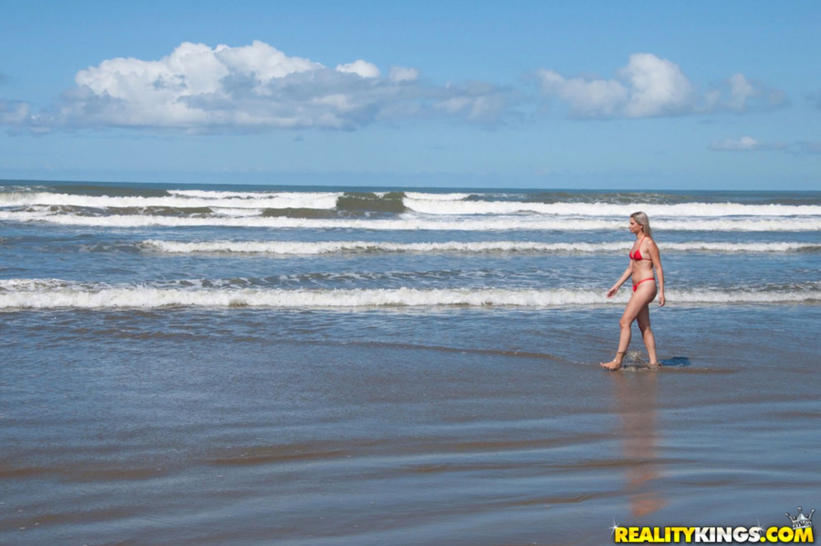 Beach Wonder