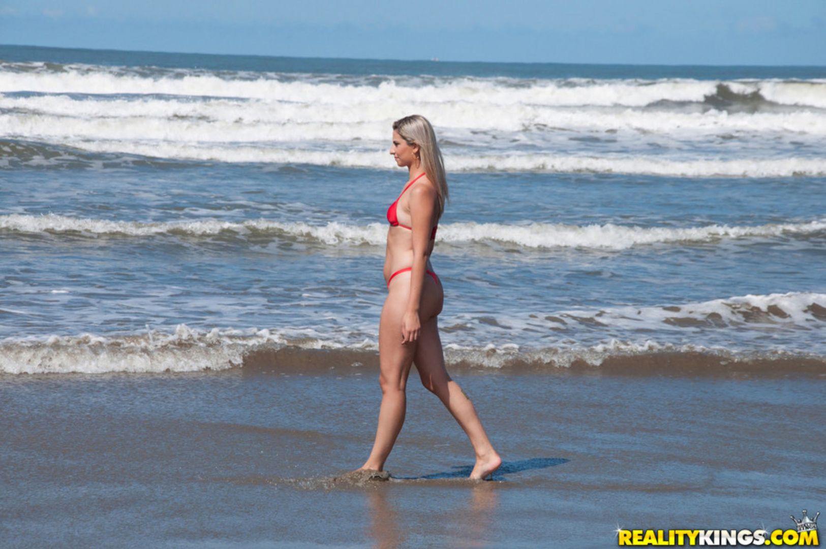 Beach Wonder