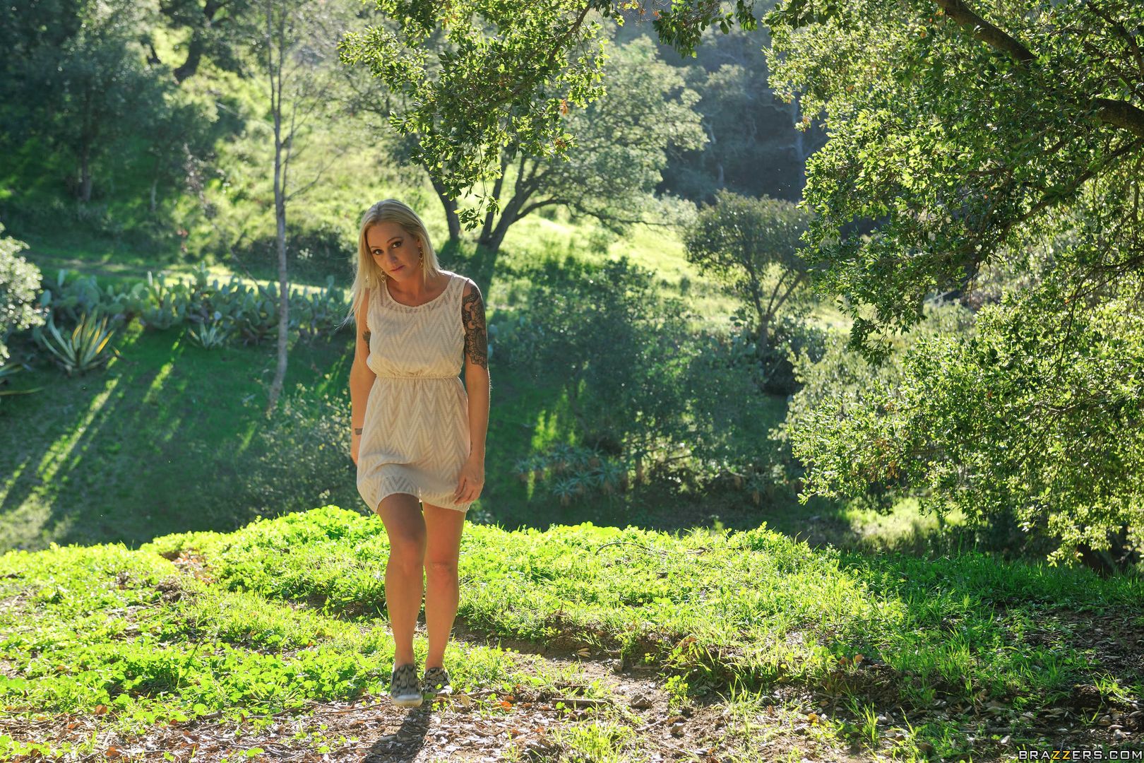 Strangers In the Woods