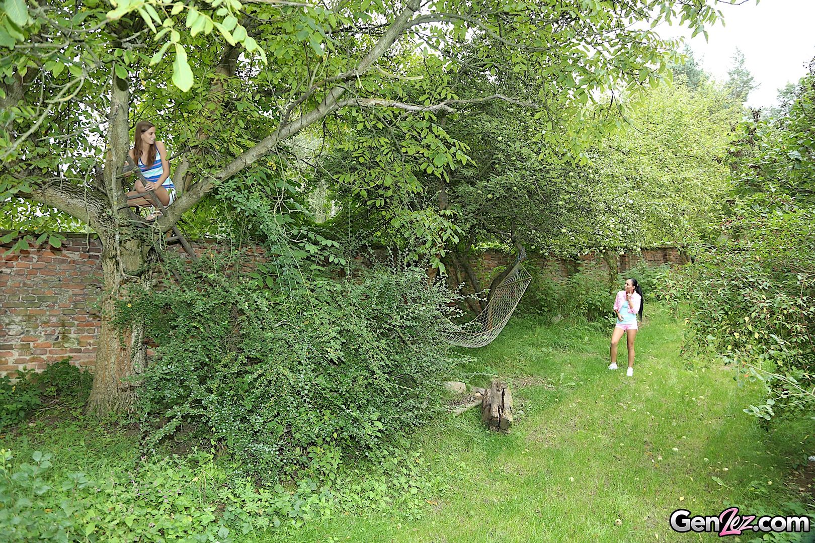 Backyard Pussy Playdate