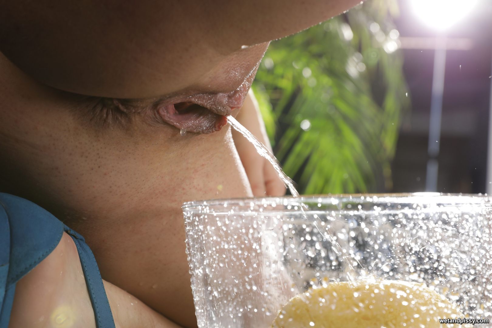 EVA BROWN — SOAKING THE SPONGE