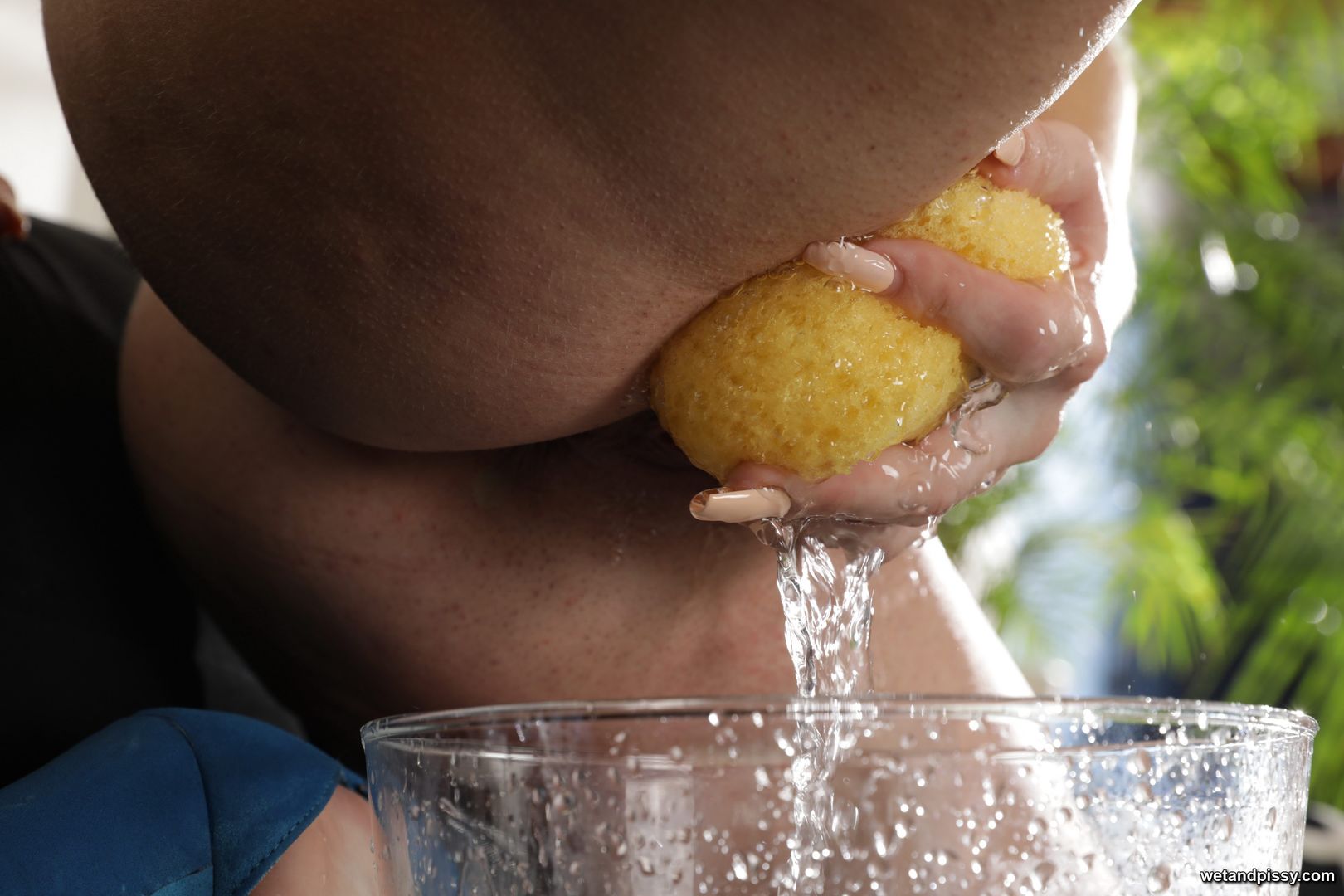 EVA BROWN — SOAKING THE SPONGE