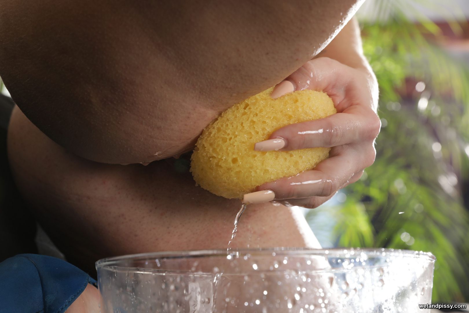 EVA BROWN — SOAKING THE SPONGE