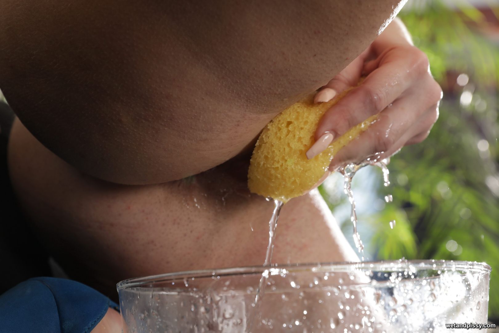 EVA BROWN — SOAKING THE SPONGE