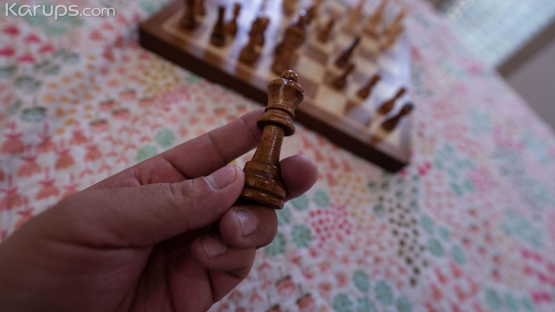 BREED A CHESS CHAMP